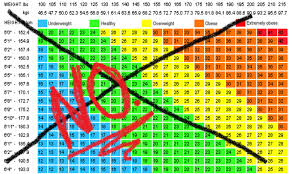 Weight And Bmi Chart Easybusinessfinance Net