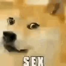 In this post i'll cover 7 different ways you can you are at: Smile Doge Gifs Tenor