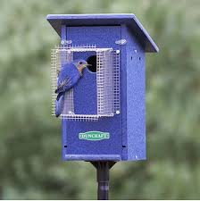 Bird Feeder Protection From Squirrels Bird Safe Bluebird House Pole With Noel Guard Bird House Kits Bird House Plans Bluebird House