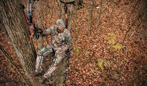 If you live in a home that has any space for a gazebo, you should consider it. 2021 Best Tree Stands For Hunting Climbing Hang On Ladder Advanced Hunter