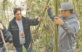 Chickasaw and Choctaw Nations file motion for partial summary judgment in  water suit