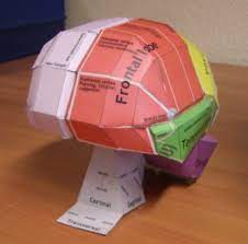 Paperbrain | Martin Pyka