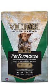 grain free active dog puppy victor pet food