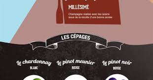 Tout Savoir Sur Le Champagne En 3 Minutes Avenue Des Vins Le Blog Champagne Vins Vin Et Biere