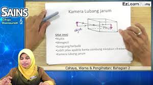 Penglihatan adalah indra yang paling penting untuk burung, karena penglihatan yang baik bersifat sangat menentukan bagi penerbangan yang aman, dan kelompok burung memiliki sejumlah adaptasi yang memberikan keunggulan visual dari kelompok vertebrata lainnya. Topik 07 Cahaya Warna Dan Penglihatan Jom Tuisyen