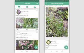 Allgemeine pflege von pflanzen >. Pflanzen App 3 Kostenlose Apps Um Pflanzen Zu Bestimmen
