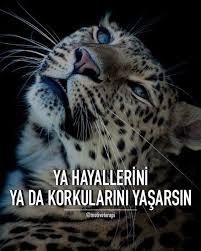 Https Www Instagram Com Motiveterapi Motivasyon Sozleri Motivasyon Mizah