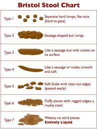 Image result for blood in stool human poop