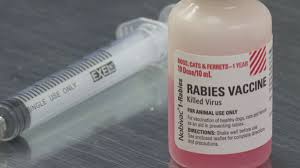 If you live in the united states, it may be a legal requirement of cat the rabies vaccine for cats contains 'deactivated' rabies virus. Low Cost Rabies Shots For Dogs Cats And Ferrets Offered In Mobile County In May 2020 Wpmi