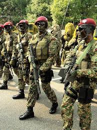 Johor was the first and only malay state to have its modern military force. Elite Forces Of Malaysia Wikiwand