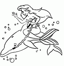 Dolphin coloring page for children 3 years old. Dolphin And Mermaid Coloring Coloring Library