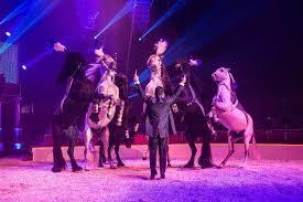 Located in the heart of paris, between the place de la république and the place enter the bouglione family. Video Le Cirque Bouglione Pose Son Chapiteau Au Havre 76actu