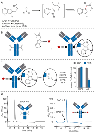 Maybe you would like to learn more about one of these? The Hydrazino Iso Pictet Spengler Ligation A Versatile Mild And Efficient Aldehyde Conjugation Strategy To Generate Site Specific Positionally Programmable Antibody Drug Conjugates American Pharmaceutical Review The Review Of American