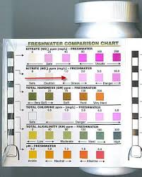 Tetra Easy Strips Chart Best Picture Of Chart Anyimage Org