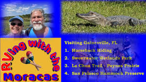 Cas confirmés, mortalité, guérisons, toutes les statistiques Shangri La Campground Fun Hiking Youtube