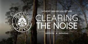 Clearing The Noise