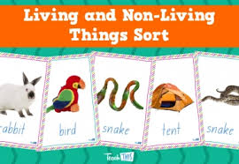 Check spelling or type a new query. Teacher Resources And Classroom Games Teach This