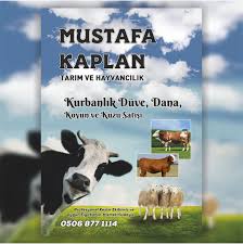 Mustafa Kaplan 2020 Kaplan Taylar Danca
