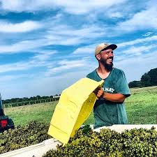 At state farm, you're more than just a policy number, you're our neighbor. Winemaker Mike Mitchell During Our Chardonnay Harvest Picture Of Cape May Winery Vineyard Tripadvisor