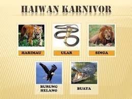 Rehat sekejap.kita dengar lagu ni dulu. Cara Pemakanan Karnivor Omnivor Dan Tuisyen Individu Facebook