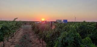 See reviews, photos, directions, phone numbers and more for calais winery locations in dallas, tx. Calais Winery Calaiswinery ×˜×•×•×™×˜×¨