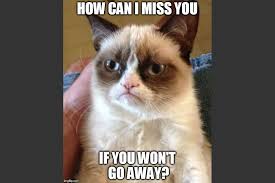 The 5 Best I Miss You Memes Miss u like a squirrel misses his nuts memegenerator. the 5 best i miss you memes