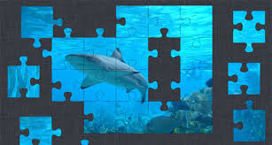 The best thing about them is fitting in the last piece to complete the picture. Jigsaw Puzzles By Puzzle Baron