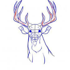 How To Draw A Realistic Deer Draw Real Deer Step By Step Realistic Drawing Technique Free Online Drawing T Deer Drawing Animal Sketches Drawing Techniques