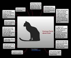 Conceptdraw On Twitter International Cat Day Cat Facts Curious Facts