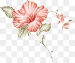 Pink Hibiscus Png Pink Hibiscus Flower Cleanpng Kisspng Subscribe to envato elements for unlimited photos downloads for a single monthly fee. pink hibiscus flower