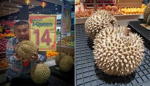 Durian musangking saat ini jadi favorit baru bagi para pecinta durian. Viral Durian Ini Dijual Rp 14 Juta Per Buah Murah Banget Yah Wow Menariknya
