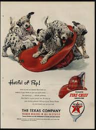 Dalmatian puppies for sale and dogs for adoption in texas, tx. 1951 Cute Dalmatian Puppies Dogs Fireman Hat Texaco Vintage Ad Ebay
