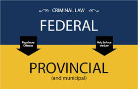 Whose Law Is It Anyway A Guide To Canadian Criminal Law Queen S Certificate In Law