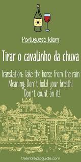Portuguese Phrases Tirar O Cavalinho Da Chuva Learn Portuguese Portuguese Phrases Portuguese Language Learning