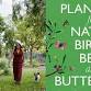 Author Talk - Planting for Native Birds, Bees and event image
