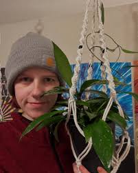 Winner!!: Natalie Linnemann GIVEAWAY!!!! 1 snake plant + 1 philodendron  birkin Like 💚 Follow + Comment done to be entered in the draw Draw