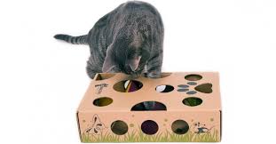 Vital essentials cat treats from chewy.com and cat amazing puzzle toy post published on november 19, 2017 | last updated on april 1, 2021 by jenny every month, as a chewy.com influencer, we are sent a list of products that are available for review (that are sold on the chewy.com website). 17 Best Interactive Toys Every Cat Or Dog Should Have