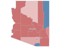 Arizona Election Results 2010 The New York Times