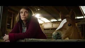 With very little money and no experience, jan convinces her neighbors to chip in their meager earnings to help raise dream and compete with the racing elites. Toni Collette In Dream Horse Cnn Video