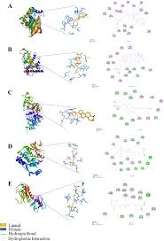 Image result for Aspilia pluriseta