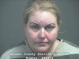 MCGHEE, LINDSEY BETH Charges: PUBLIC INTOXICATION This information and more  is available https://apps.myocv.com/share/a95737804