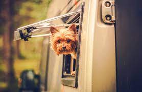 Search for pet friendly rvs near me. Pet Friendly Rv Rentalspet Friendly Rv Rentals Adventure Touring Canada