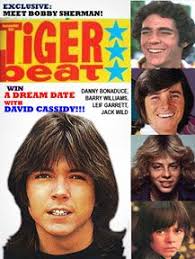 9 Tiger beat magazine ideas