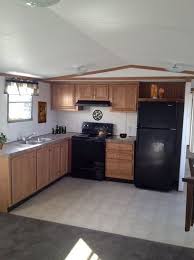 suzi q on mobile home remodeling ideas