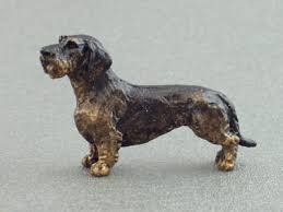 Image result for jezevčík drsnosrstý