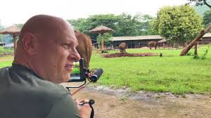 KEYSTONE: A Documentary to Protect Elephants