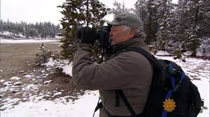 Living Through Winter At Yellowstone National Park Cbs News