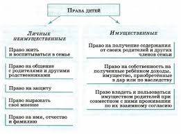 Chem Reguliruyutsya Prava I Obyazannosti Chlenov Semi 2021