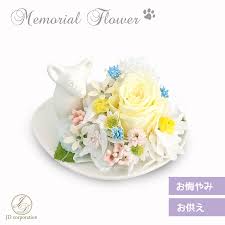 ギフトモール