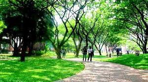 Check spelling or type a new query. Lingkungan Sehat Pengertian Definisi Ciri Cara Menjaga